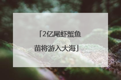 2亿尾虾蟹鱼苗将游入大海